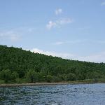 �ɲ�����Ȼ���������