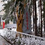 ������ò